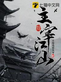 2024旧版本派派