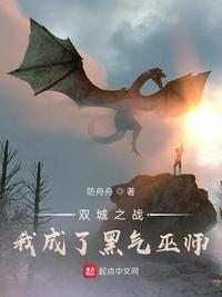 小伟沈丽 绝品盲技师小说