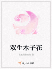 从契约精灵开始