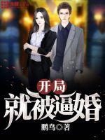 结婚以后1v1