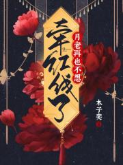 teachfeeling美化无疤魔改版