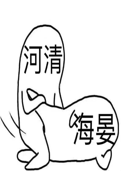 妻子的韩剧4中字