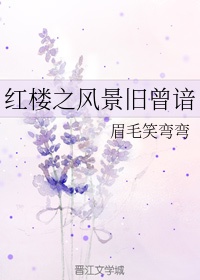 9号秘事第四季