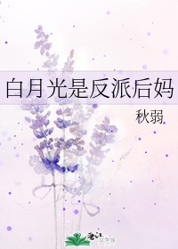 极限挑战免费