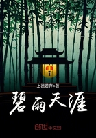 乡村名流小说