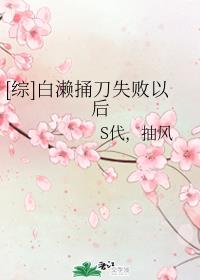 龙珠格斗