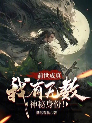 我是一个贼无删减版