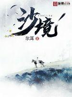 锅盖头3