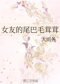 女友小叶小说