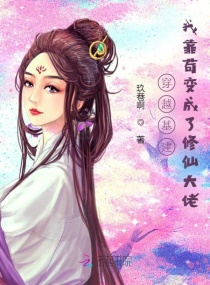 丁香花小说