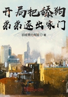 将军在上免费全集在线观看电视剧