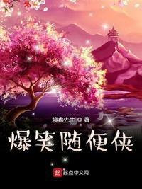 精英律师电视剧剧情介绍